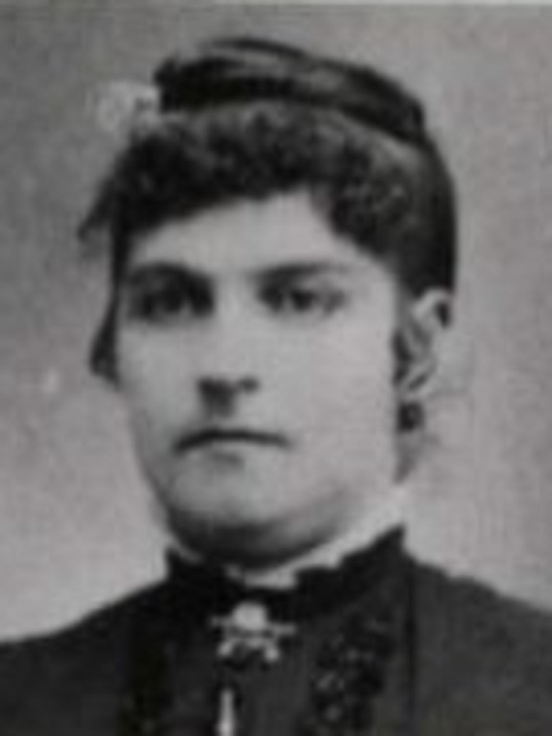 Elizabeth McAffee (1860 - 1941) Profile